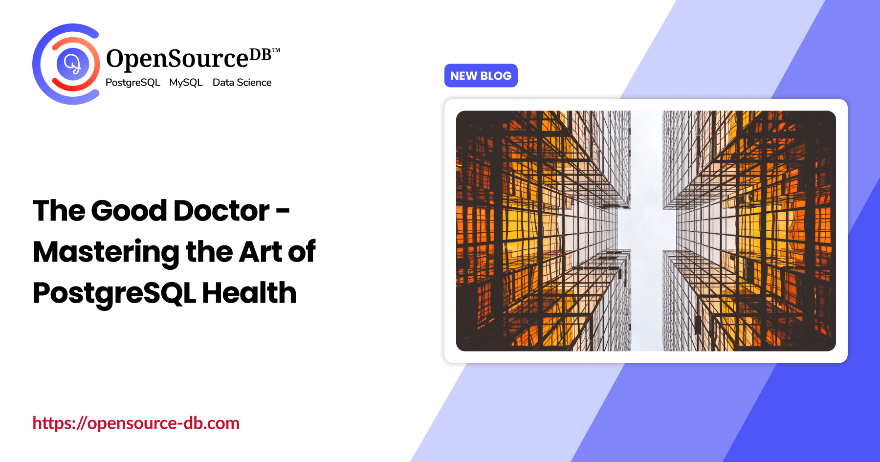 Postgres Art The Good Doctor - Mastering the Art of PostgreSQL Health - OpenSourceDB